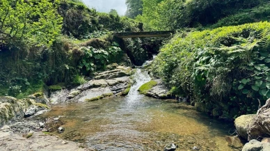 Rize'de kırmızı akan dere paniğe neden oldu