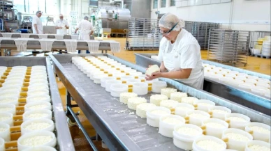 Dikkat! Ünlü peynir markasının ürünleri geri çağrılıyor: Sağlık tehlikesi bulunuyor
