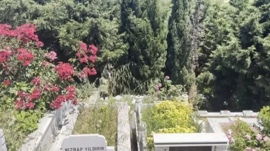 İstanbul Arnavutköy'de Mezarlıkta Bulunan Bebek Cesediyle İlgili Soruşturma Başlatıldı