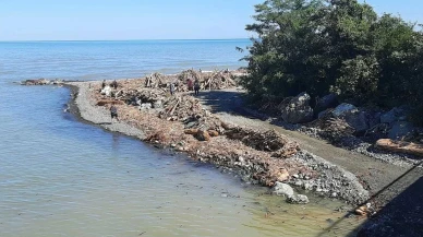 Artvin'de yaşanan şiddetli fırtına sonrası doğa yıkıldı, vatandaşlar ise yakacak bulmakta zorlanıyor.