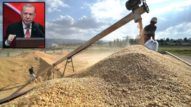 Güneydoğu Anadolu Bölgesi'nde Kuraklığın Etkisi: Hububat Üreticileri Destek Bekliyor