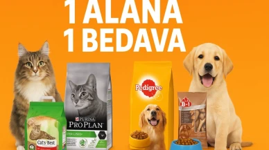 Migros, evcil hayvanlar için büyük bir kampanya başlatıyor: Mama ve kum alışverişlerinde 1 alana 1 bedava!