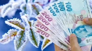 2025 Zirai Don Ödeme Desteği Ne Zaman Yapılacak? Kimler Faydalanabilecek?