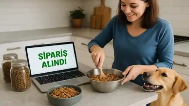 Ev Ortamında Evcil Hayvan Maması Yaparak Para Kazanmak 2025