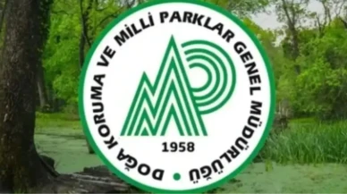 Doğa Koruma ve Milli Parklar Genel Müdürlüğü personel alımı başvuru tarihleri: DKMP personel alımı şartlar...