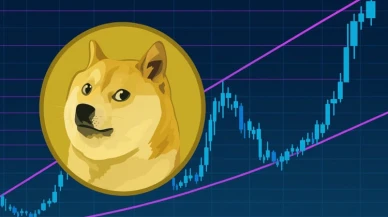 Dogecoin'un fiyatı 0,251 dolar seviyesinin üzerinde kalmaya devam ediyor: Şimdi gözler 0,264 dolar direncinde!