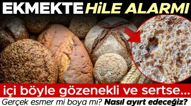 Gerçek esmer mi boyalı mı? Gıda sahtekârları ekmeğimize de göz dikti! Karaciğere ekstra yük bindiriyor