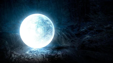 Kralların burcu... En asil erkek burcu belli oldu