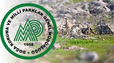 Resmi Gazete'de büyük sürpriz! Doğa Koruma ve Milli Parklar Genel Müdürlüğü onlarca personel alıyor