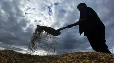 Tarımsal Destek Ödemeleri Çiftçilere Yattı! Bakan Yumaklı Açıkladı