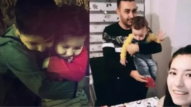 Böcek ailesi alüminyum fosfit ile zehirlendi, nedeni araştırılıyor!