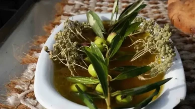 Zeytinyağı uzmanı, erken ve olgun hasat arasındaki farkı açıkladı!