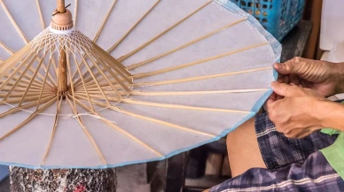 Atılması düşünülen kırık şemsiyeler çiçekler için yeni bir yaşam alanı olabilir!