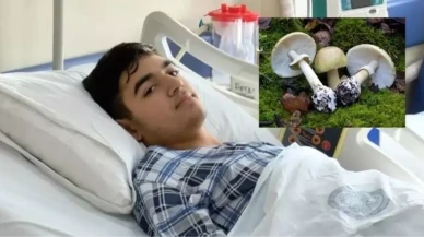 Köygöçüren Mantarı Hakkında Merak Edilenler! Yenir mi, Zehirli mi? Nerede Bulunur?