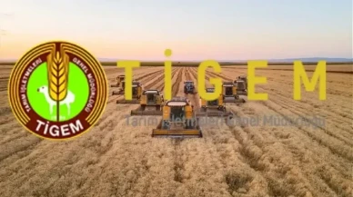 TİGEM İşçi Alımı Detayları Belli Oldu: İşte Başvuru Şartları ve Alım Yapılacak İller