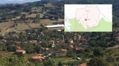 Yalova'daki Elmalık Köyü, Merkeze Sadece 8 Km Uzaklıkta Bulunuyor ve İstanbul'a 2 Saatlik Mesafede!