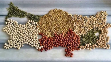 Yerli Malı Haftası: Yerli Üretimi Kutlama Haftası!