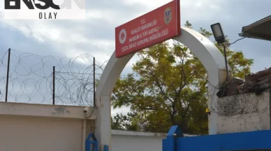 Mardin’de, aracında ruhsatsız silah bulunan şüpheli tutuklandı