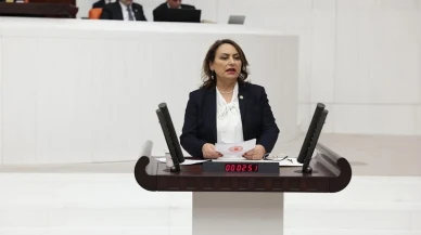 CHP'li Şevkin: Türkiye’yi tek adamın hırslarına feda etmeyin