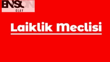 Laiklik Meclisi: "Laiklik Meclisi, ülkesine sahip çıkan tüm yurttaşları coşkuyla selamlar"