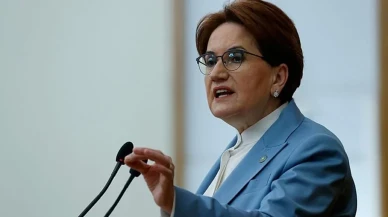 Akşener'den Türkeş mesajı