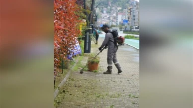 Giresun'da yeşil alanlarda bakım ve temizlik çalışması