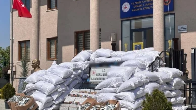Neredeyse 3 milyon değerinde! Bursa'da yakalandı