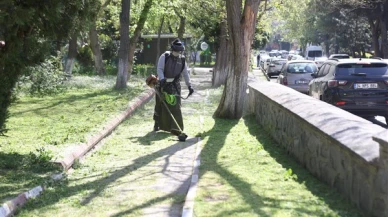 Bakırköy Belediyesi, ilçede bakım çalışmalarına başladı
