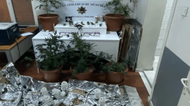 Beyoğlu'nda kiraladıkları daireye uyuşturucu serası kurdu