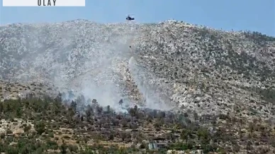 Mersin'de ağaçlık yangını söndürüldü