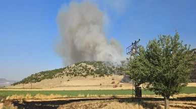 Gaziantep'te anız yakan çiftçiye 47 bin lira ceza