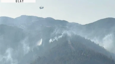 Manisa'daki orman yangını 2’nci gününde