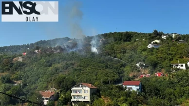 İşaret fişeği 500 metrekarelik alanı yaktı: Şüpheliden 'söner zannettim' savunması
