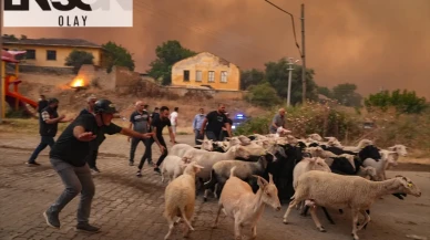 Yangın mağdurlarına nakdi yardım: Bakanı Göktaş detayları açıkladı