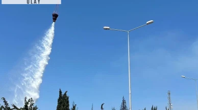 Bornova'da yangına hangi araçlarla müdahale ediliyor? OGM açıkladı