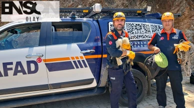 Ayağı kırılan leylek için seferber oldular