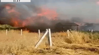 İzmir’deki yangında 8 ev zarar gördü