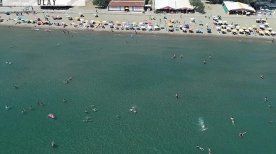 Sıcaktan bunalan maviye koştu