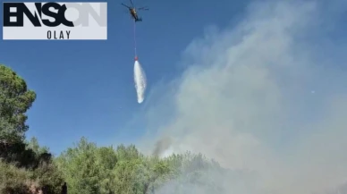 Adana'dan kötü haber! Orman yangını çıktı