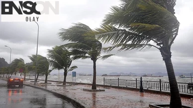 Tayland'ı Wipha fırtınası vurdu: 7 ölü, 143 yaralı