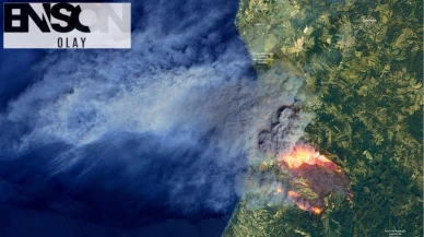 Portekiz alev alev: 3 büyük orman yangınına karşı seferberlik