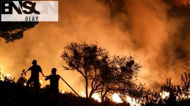 Girit Adası'nda orman yangını: 5 bin kişi tahliye edildi