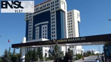 Fahri av müfettişliği için yeni şart: En az lise mezunu olmak gerekecek