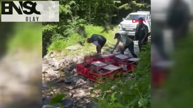 Bursa’da 1400 keklik doğayla buluştu