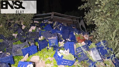Kamyon devrildi, 10 ton biber etrafa saçıldı