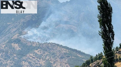 Şırnak'ta orman yangını! Ekiplerin müdahalesi devam ediyor