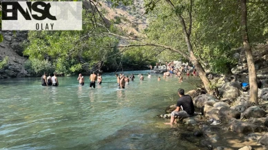 Hakkari'de sıcaktan bunalanların gözdesi Avaşin Deresi