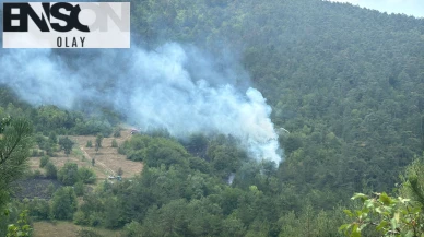 Bolu'daki yangın söndürüldü