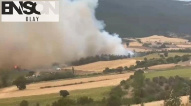 Bursa'da Orman Yangını Kontrol Altına Alınıyor: Ekipler Havadan ve Karadan Seferber Edildi