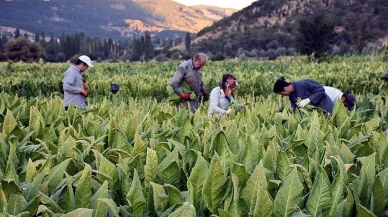 CHP'li Mahmut Tanal: Türk çiftçisine ihanet, Amerikan çiftçisine can suyu!